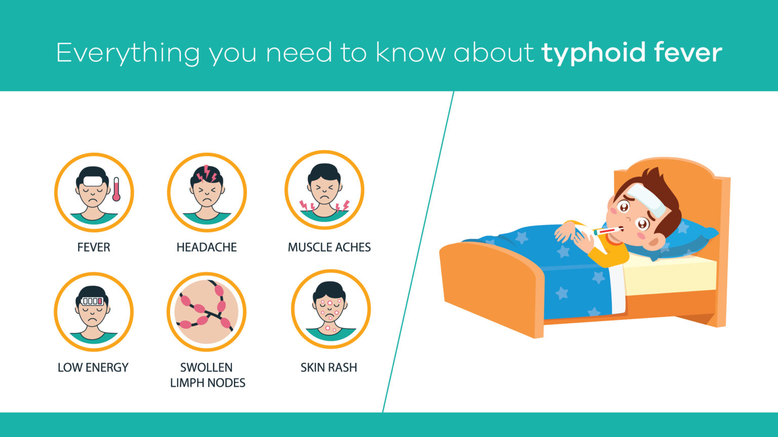 Everything You Need To Know About Typhoid Fever